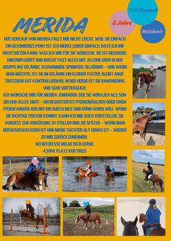 Ponystute Merida, Josefin, Horses For Sale, Kirchberg am Wagram