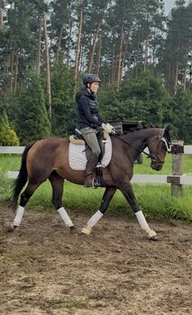 Stute mit Herz, Marie, Horses For Sale, Strausberg