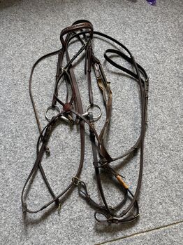 Mexikanischer Zaum, Isabelle Saladin, Nosebands, Hofstetten 