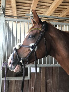 Mexikanische Trense, Janina, Bridles & Headstalls, Witzenhausen 