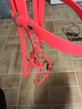 Mexikanische Trense Pony/ COB