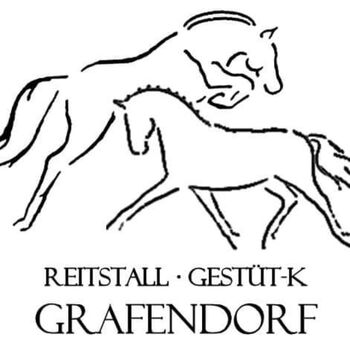 Einstellplätze frei, Reitstall·Gestüt-K Grafendorf , Wolna stajnia, Grafendorf