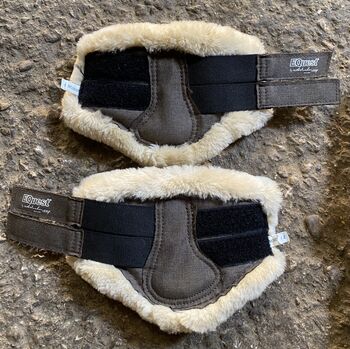 Mini Shetty Gamaschen Waldhausen, Equest