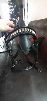 Fahrzaum Mini Shetty, Vanessa, Nosebands, Maishofen