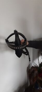 Fahrzaum Mini Shetty