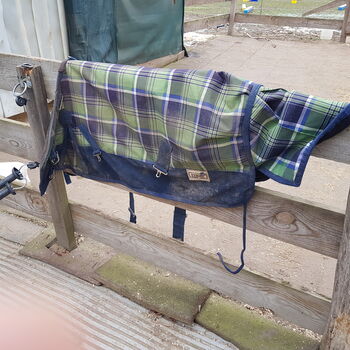 Mini Shetty Outdoordecke Tyson