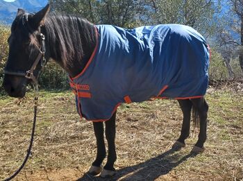Mio Winter-Decke, Mio Mio, Lena Kuder, Horse Blankets, Sheets & Coolers, Gaucin