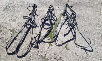 Mixed Bridles, Suzy Gollan , Bitless Bridles, Selkirk