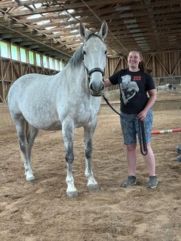 mobiler Unterricht - Westernreiten, Bodenarbeit, Anreiten/Jungpferde, "Problempferde", Hamachers Westernranch, Verena Hamacher, Riding Lessons, Röttenbach 