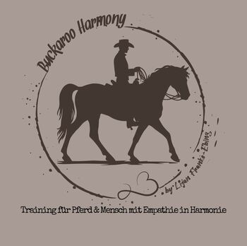 Mobiler Reitunterricht Reitkunst/Westernreiten, Lijan (Buckaroo Harmony), Riding Lessons, Schermbeck