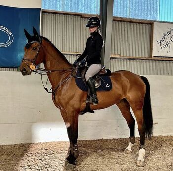 Mobiler Reitunterricht, Vaney, Riding Lessons, Seuzach