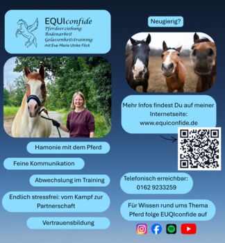 Mobieler Trainer Pferdeerziehung Bodenarbeit Gelassenheitstraining, EQUIconfide, Eva-Maria, Reitunterricht, Darmstadt