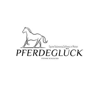 Mobiles Pferdetraining & Reitunterricht, Stefanie Schleicher , Riding Lessons, Nohn