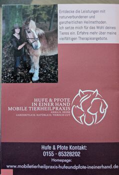 Mobile Tierheilpraxis Hufe und Pfote in einer Hand, A. Heine, Therapy & Treatment, Hemer