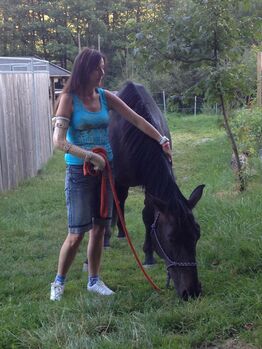 Mobilen Reitunterricht und Horsemanship