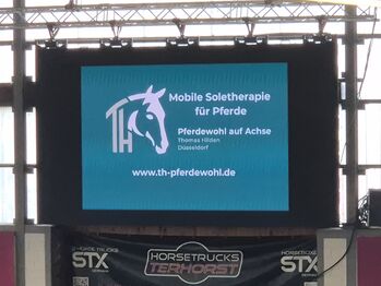 Mobile Soletherapie für Pferde