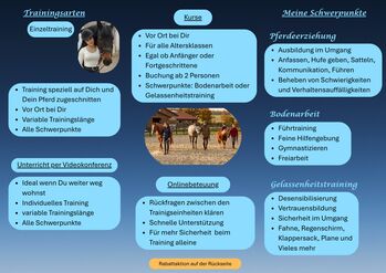 Mobiler Trainer Pferdeerziehung Bodenarbeit Gelassenheitstraining EQUIconfide
