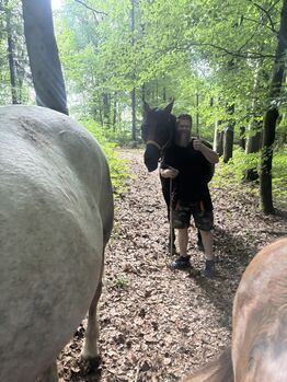 mobiler Unterricht - Westernreiten, Bodenarbeit, Anreiten/Jungpferde, "Problempferde" Hamachers Westernranch
