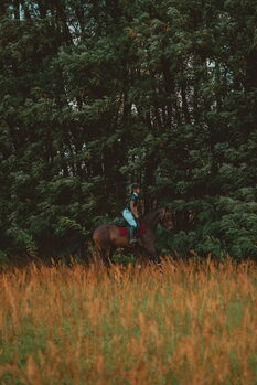 mobiles Reittraining