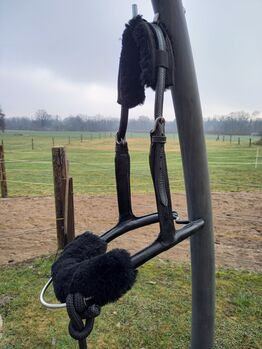 Mobility Bridle, Bernadette , Bodenarbeit, Suben