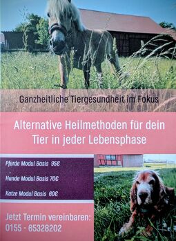 Mobile Tierheilpraxis Hufe und Pfote in einer Hand