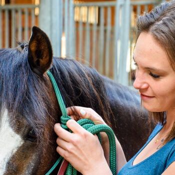 Mobiles Pferdetraining, Saskia Schweitzer, Nauka jazdy konnej, Dettingen unter Teck 