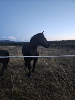 Mein sanfter Berg...