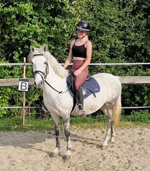 🥰 Molly 🥰, Denise, Konie na sprzedaż, Aurolzmünster 