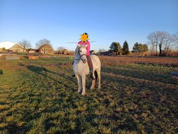 Mona – verlässliches, vielseitiges Familienpony sucht Herzensplatz