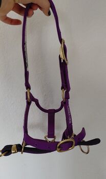 Monty Roberts Dually Halfter, Monty Roberts Dually Halfter, Sophie Marie Studer, Bodenarbeit, St.Erhard