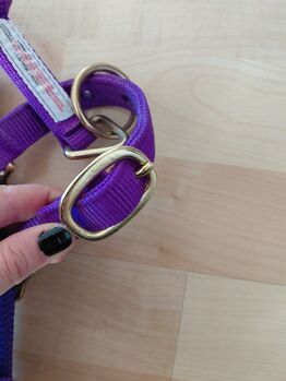 Monty Roberts Dually Halfter Monty Roberts Dually Halfter