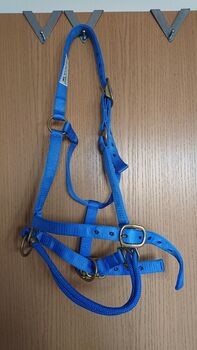 Monty Roberts Dually Halfter, blau, Monty Roberts Join-Up, Sarah Heinrich , Halters, Berlin