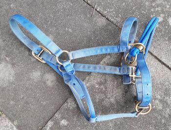 Monty Roberts Dually Halfter blau (Warmblut, F) Monty Roberts  Dually