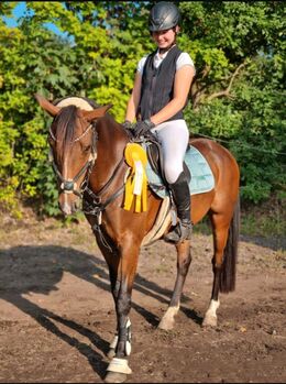 Bildhübsches Endmasspony 11 Jahre alt von Top Berlin., Nina Bareither , Horses For Sale, Winsen (Aller)