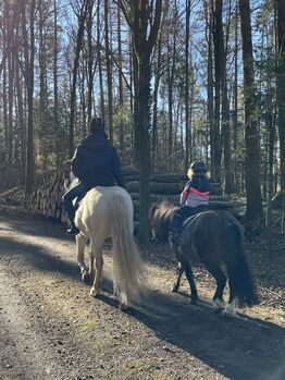Hübscher Pony-Mix für reiterfahrene Kinder zu verkaufen