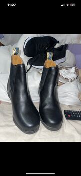 morretta short riding boots, morretta , Hannah Tolladay, Reitstiefeletten, rochester 