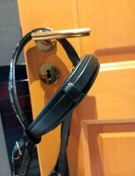 ⭐️My Filou⭐️Schwarze Trense in Größe WB My Filou 