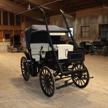 Mylord Kutsche Ein/Zweispänner Scheibenbremsen Trittbrett Schwarz, Mylord, Niklas Jäger (2ndTrade e.K.), Carriages, Wolnzach