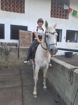 Braves Reitpferd zu verkaufen, Birgit, Konie na sprzedaż, Riegersburg