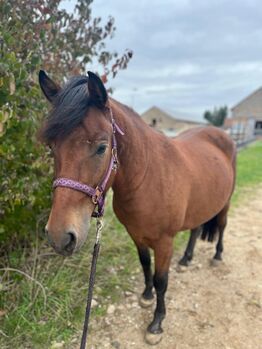 Nawal - Der kleine Charmeur mit großem Herz