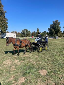 Nawal - Der kleine Charmeur mit großem Herz