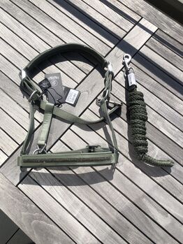 NEU ESKADRON Halfter Set Strick Ashgreen Platinum 2022 W WB grün olive, Eskadron, Hermine, Halfter, Bremen