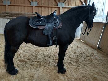 Neu: Schleese Westernsattel "Legacy", Schleese Legacy, Sonja, Western Saddle, Hausham