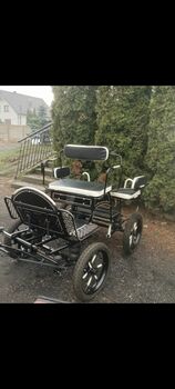 Neue Minishettykutsche nur 90 kg leicht!