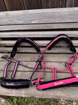 Neue XWB Halfter Eskadron & Cavallo