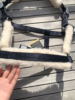 NEUES ESKADRON Halfter W WB Evo Wool Platinum Pure Navy Dunkelblau 2023 Eskadron