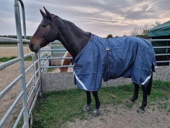 ⭐️NEUw.⭐️ Pferdedecke/ Horseware/ Regendecke, Horseware Optimo, Kathi, Derki dla konia, Wachtberg