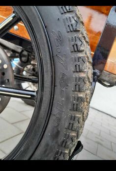 Neuwertige Kutsche! Kibele