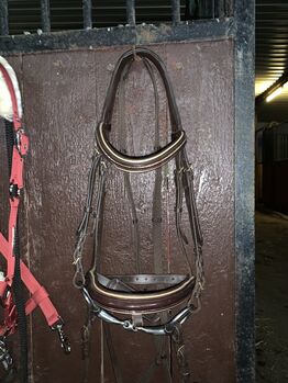 Neue Braune Trense, Covalliero, Denise Drosse , Bridles & Headstalls, Kyllburg