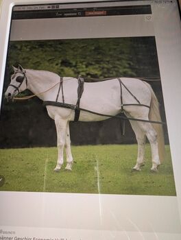 Neues Kutschgeschirr, Simone, Horse Harness, Goch